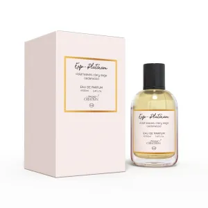 Exp - Platinum EDP For Men 100ml PFB0349 By Amazing Creation